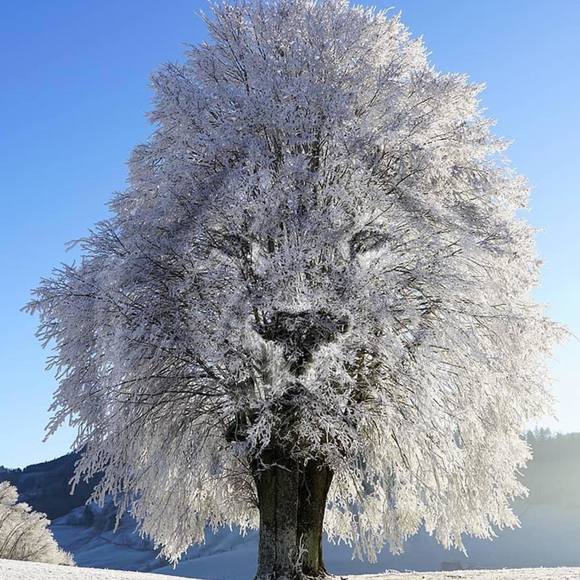 Meet your Posher, Daniel - Picture 1 of 1